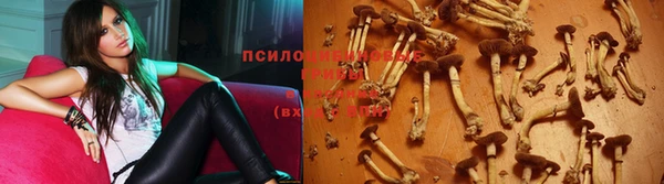 соль курить ск Абаза