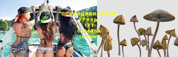 дживик Алексеевка