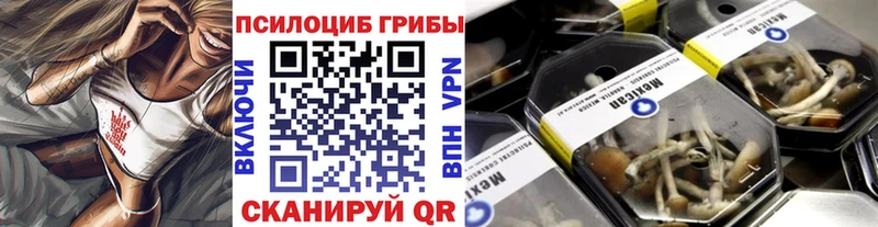 Псилоцибиновые грибы Psilocybine cubensis Гусь-Хрустальный